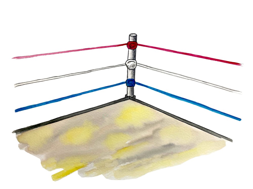 Boxing Ring - Art Decals / Stickers