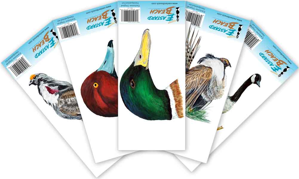 Ducks / Gamebirds