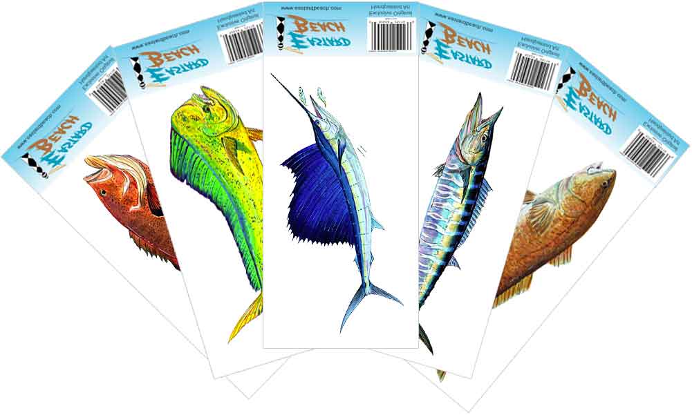Saltwater Fish