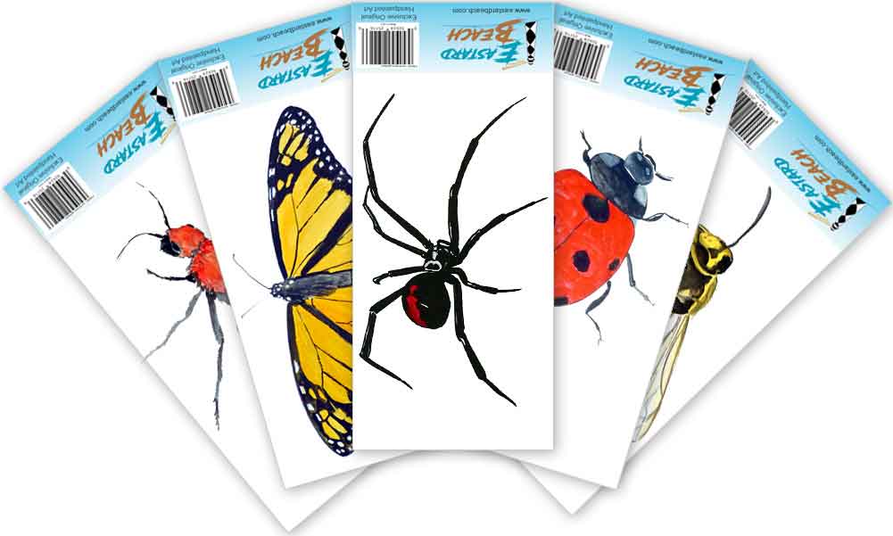 Insects and Spiders